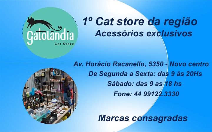 GATOLANDIA  Cat Store