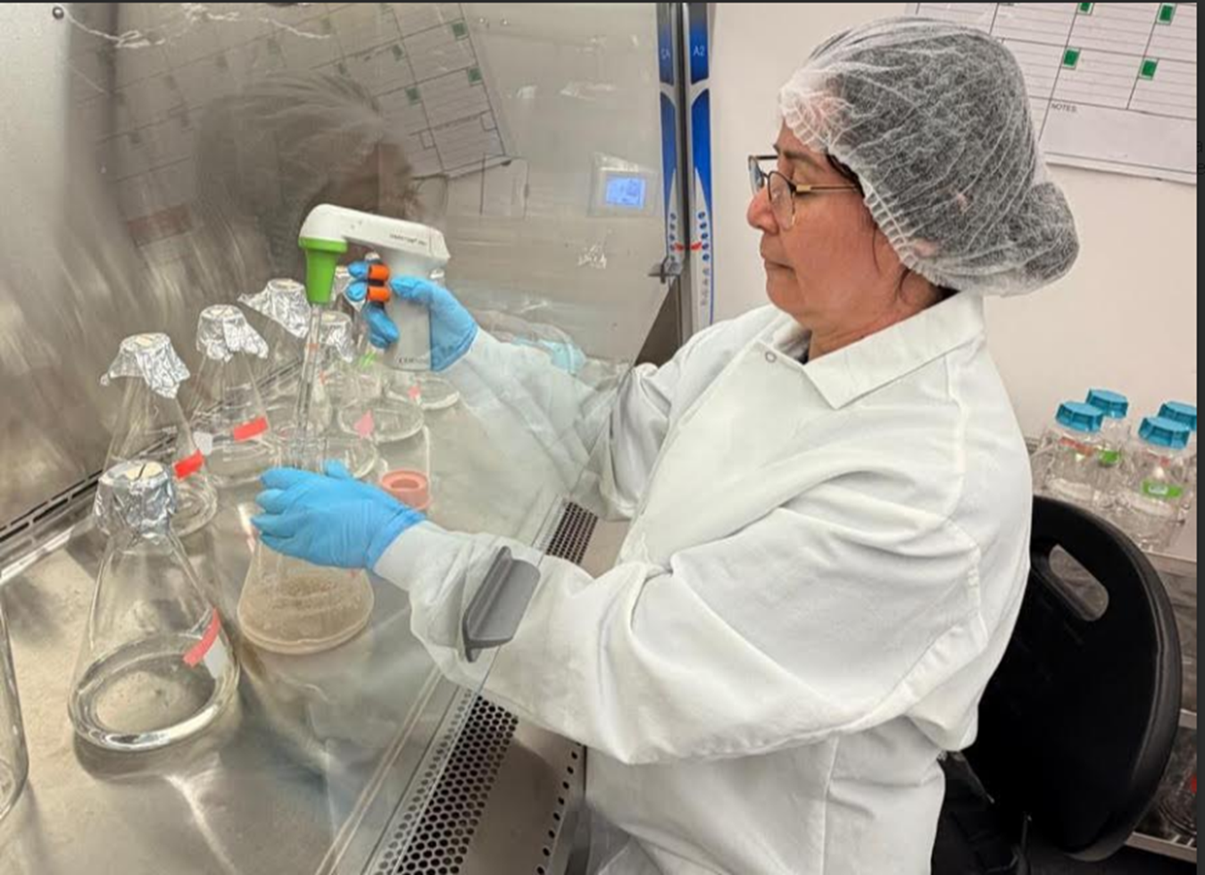 A ciência por trás da trajetória