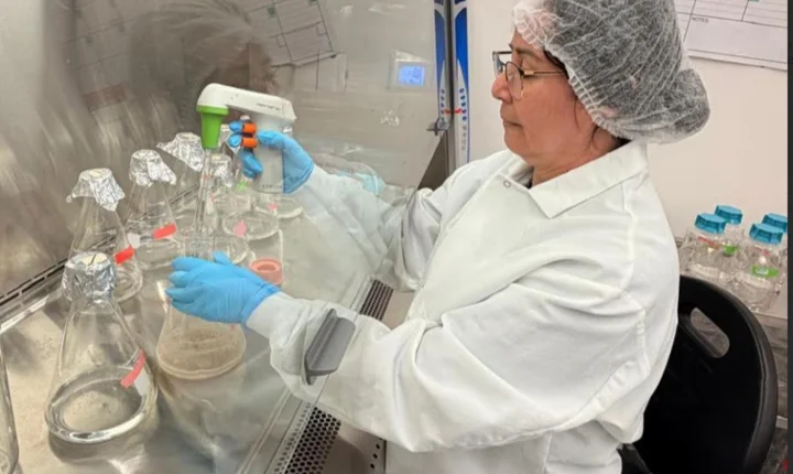 A ciência por trás da trajetória